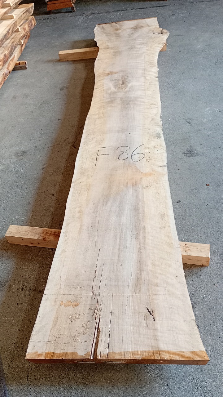 3806F86