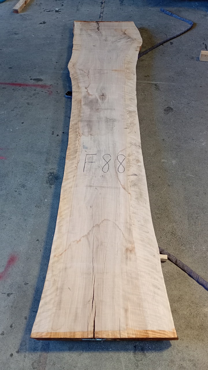 3806F88
