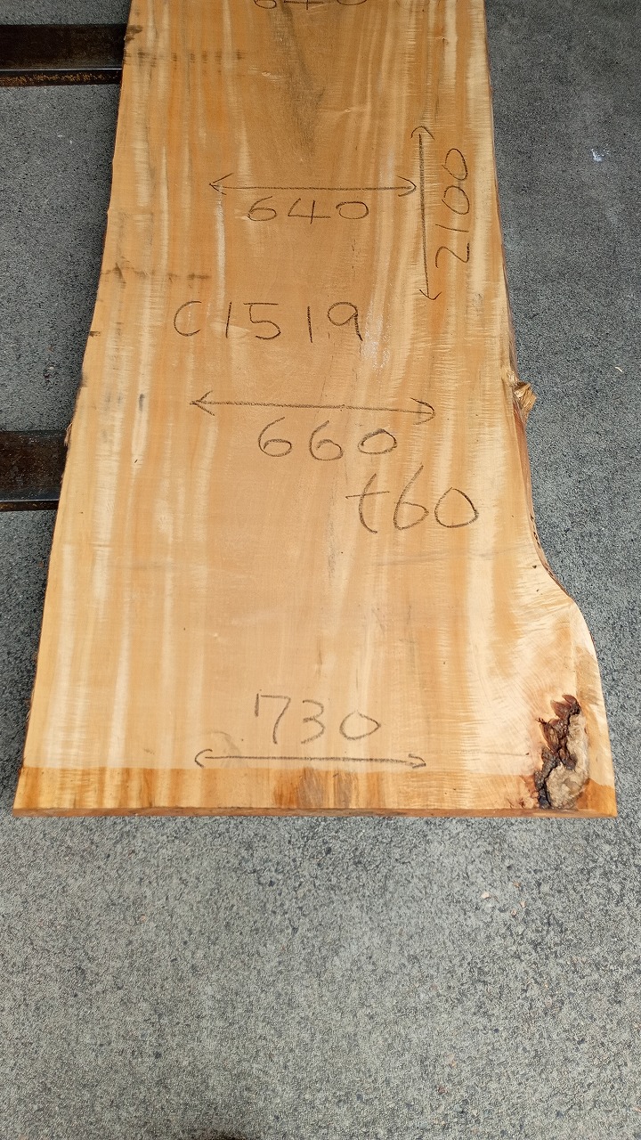 3807C1519