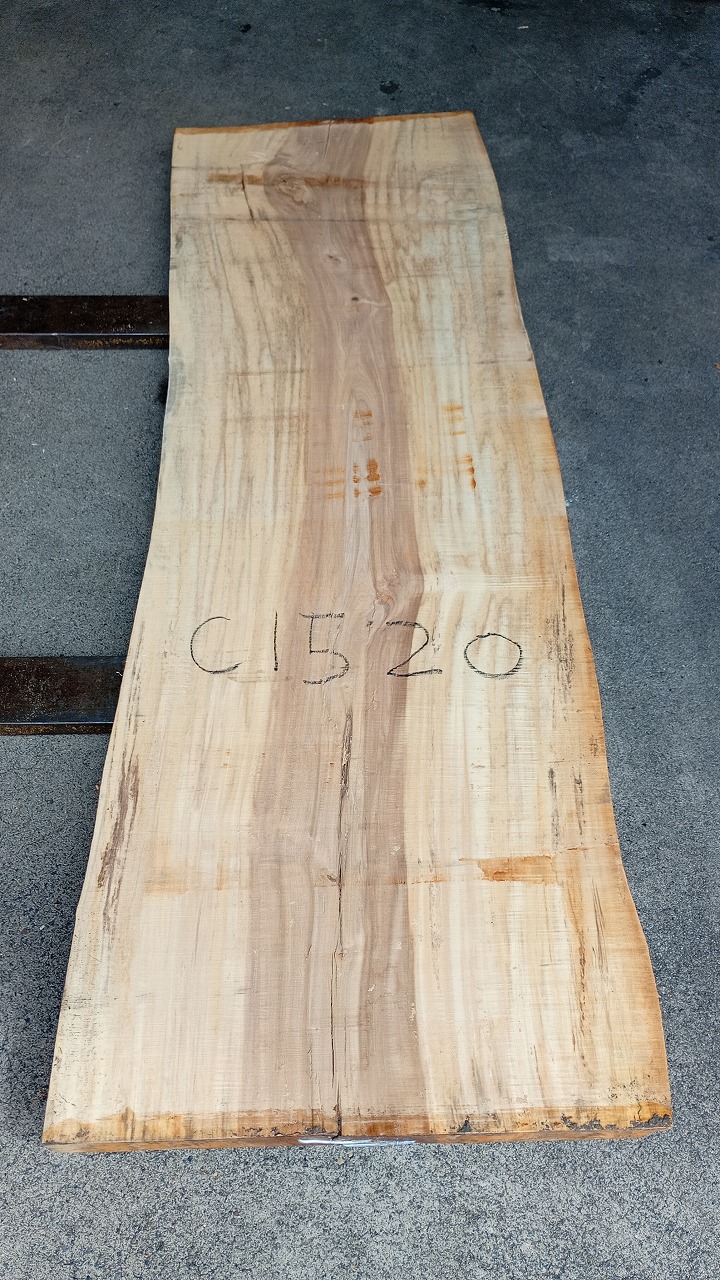3807C1520