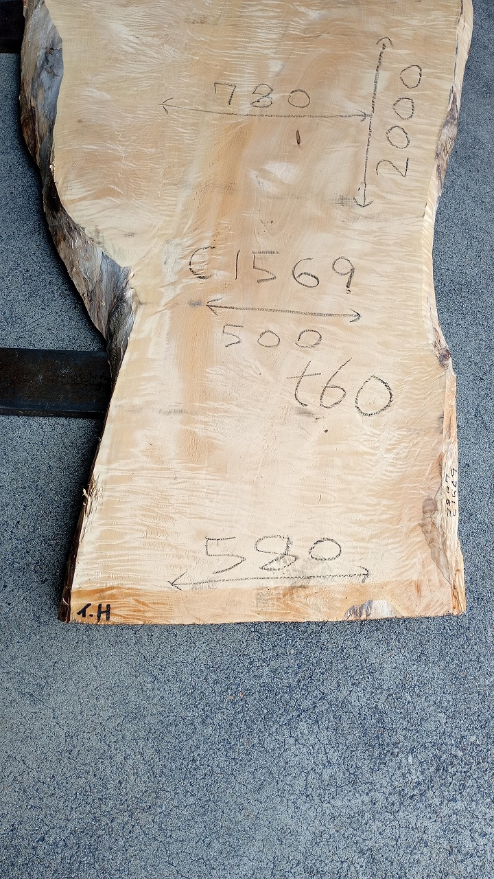 3807C1569