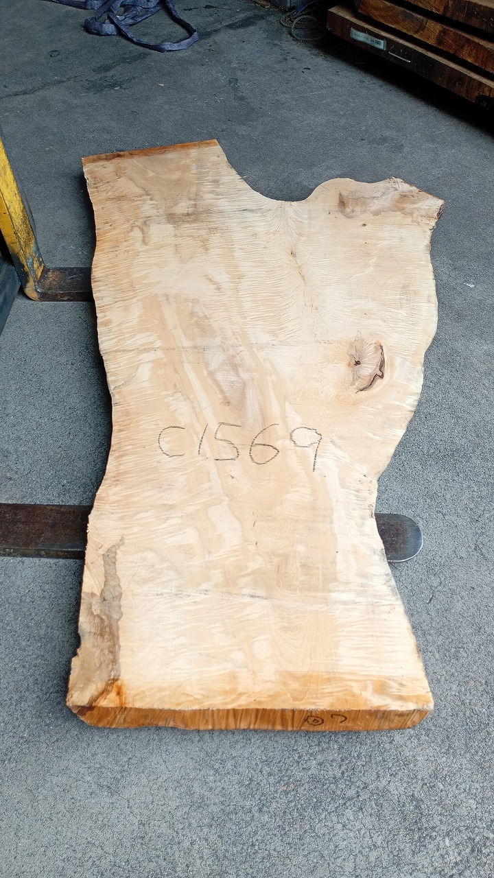 3807C1569
