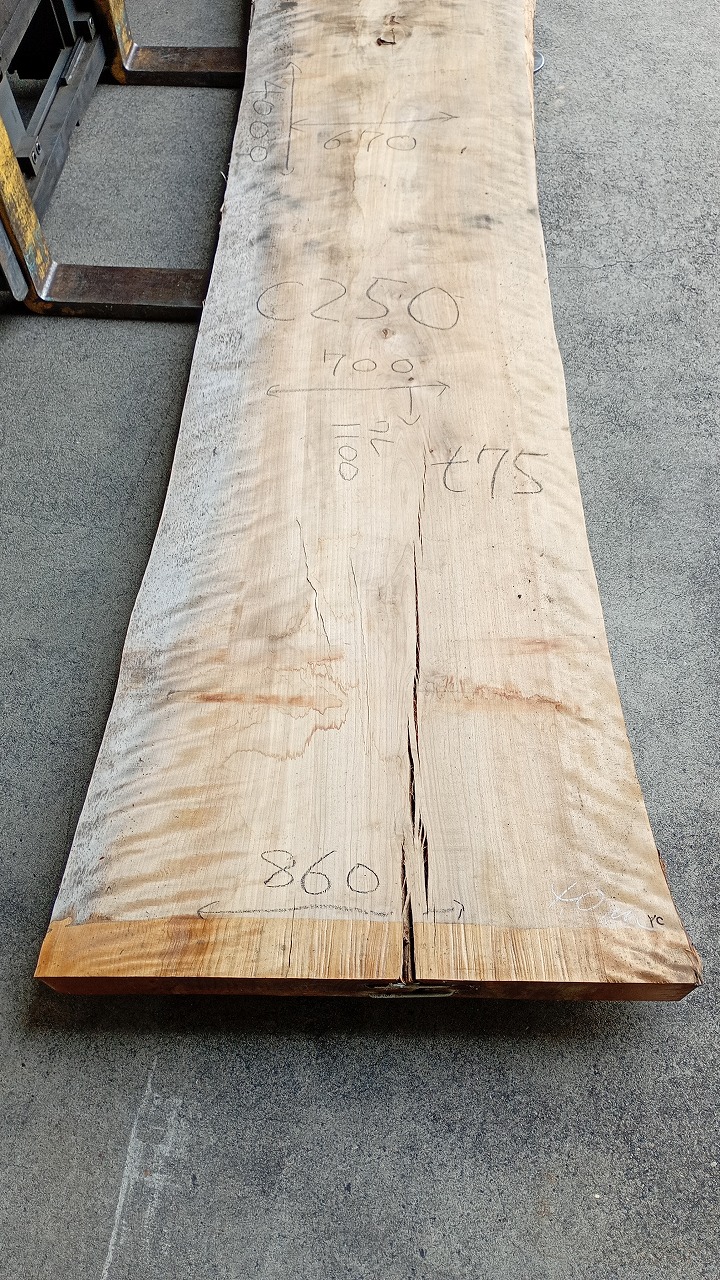 3807C250