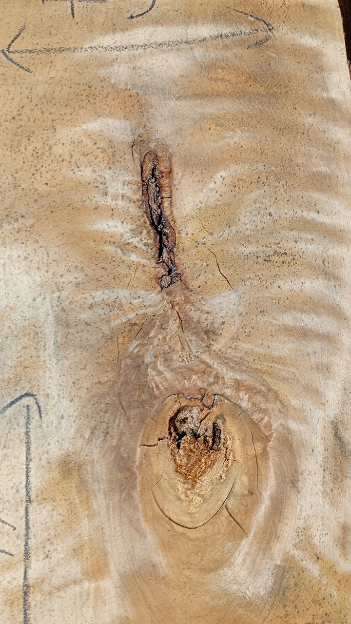 3807C251-1