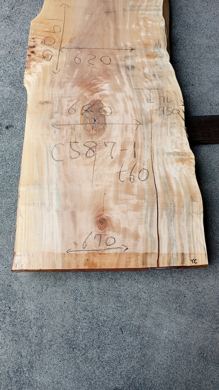 3807C587-1