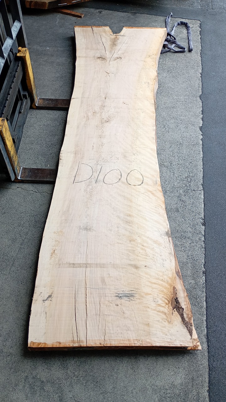 3807D100