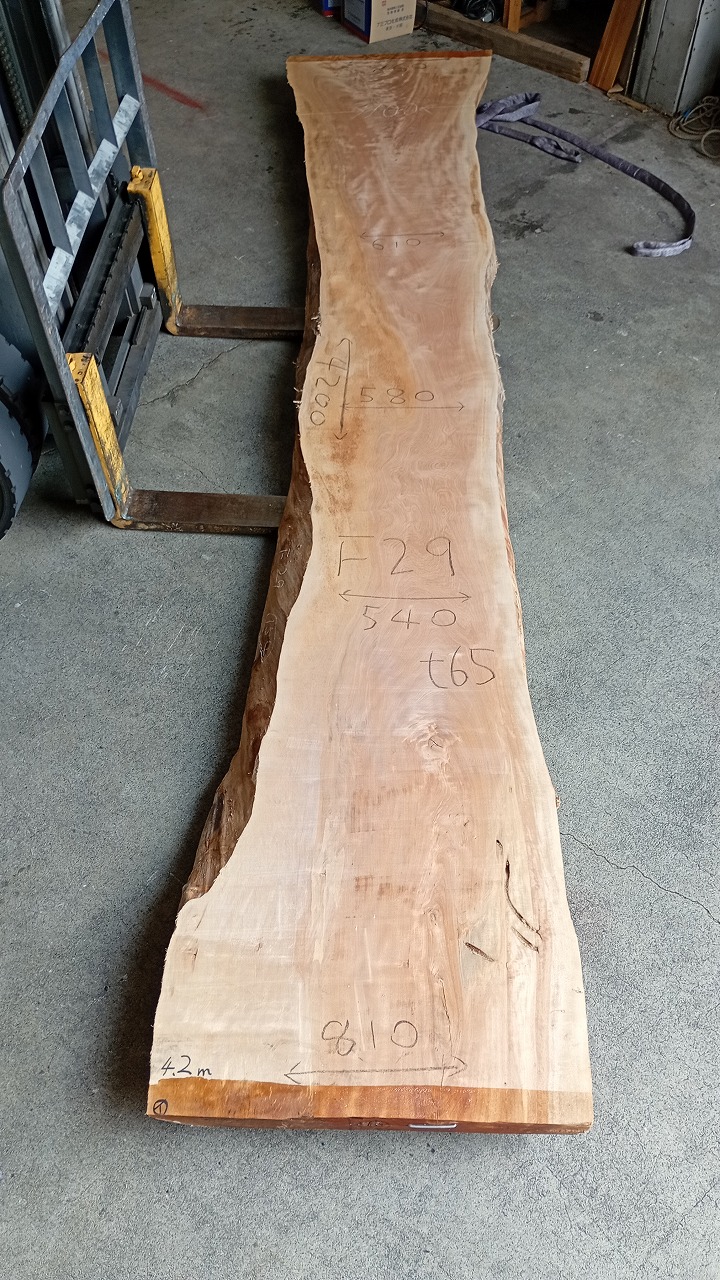 3807F29