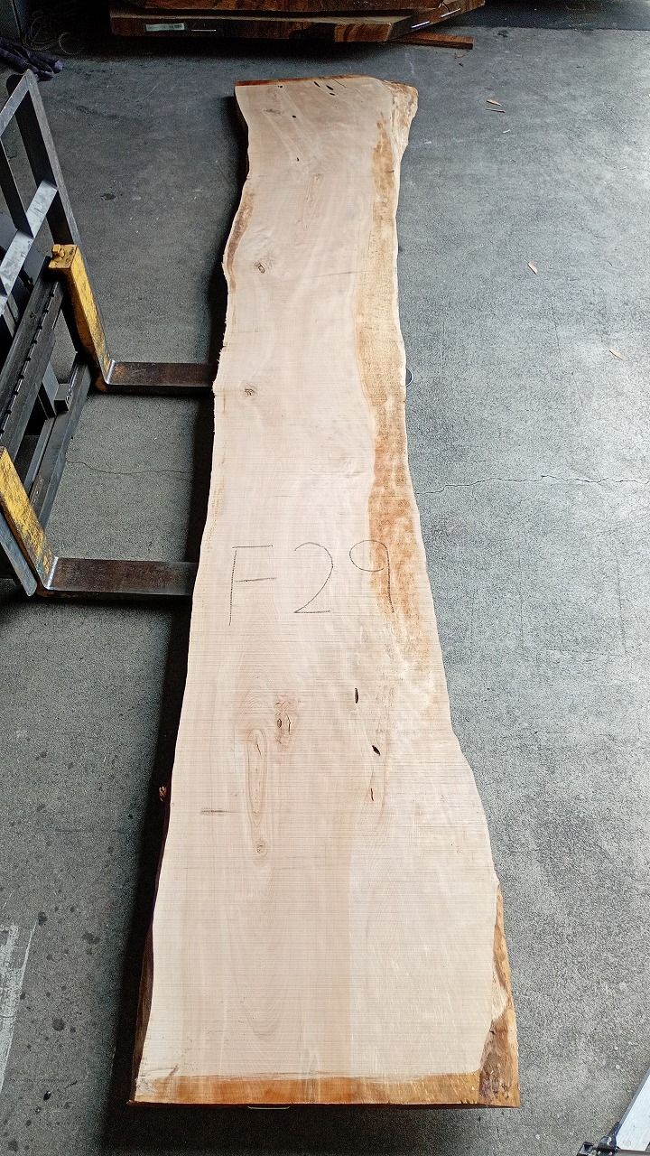3807F29
