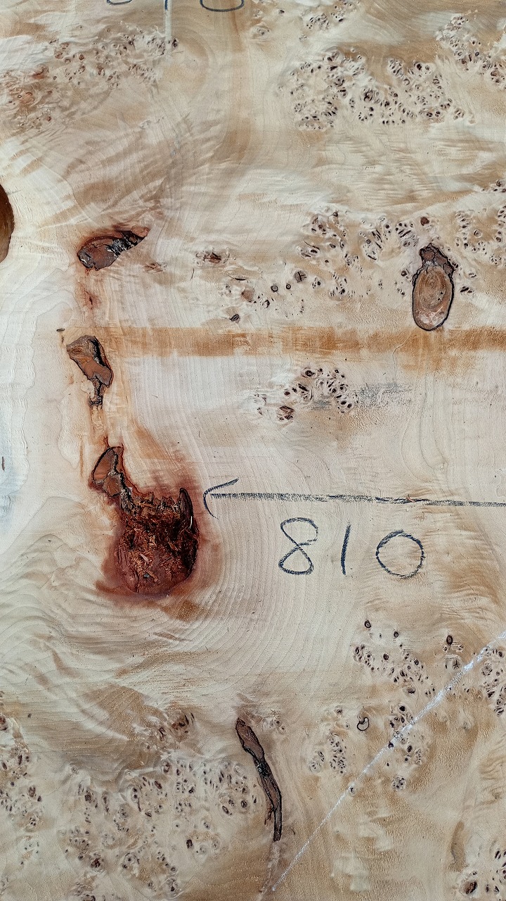 3807F61-2
