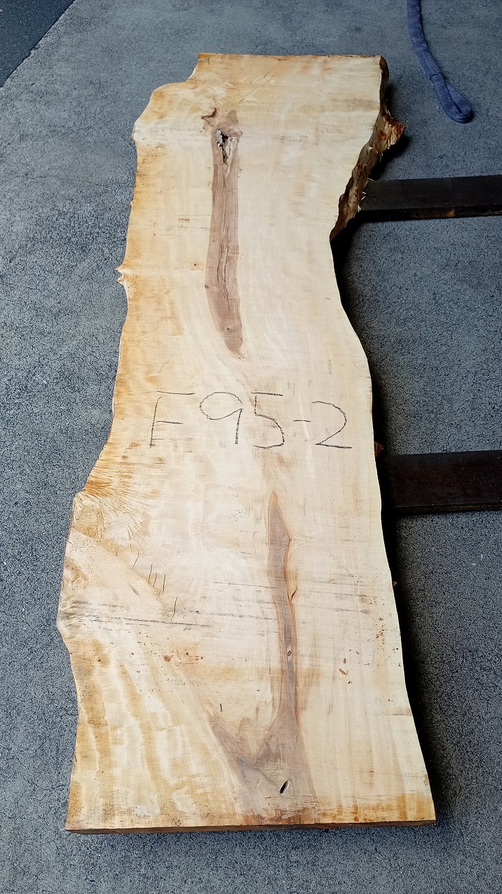 3807F95-2