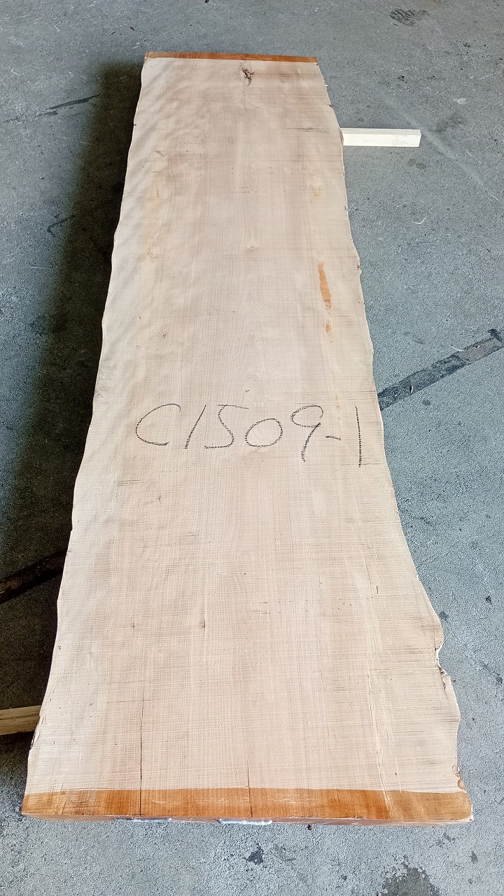 3808C1509-1