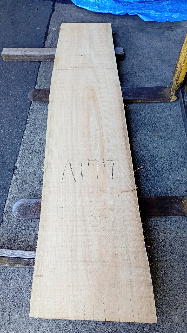 3809A177