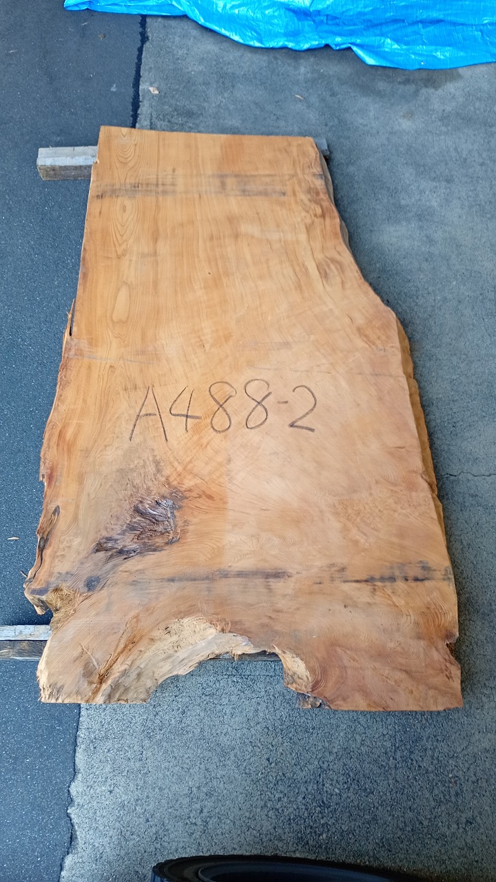 3809A488-2