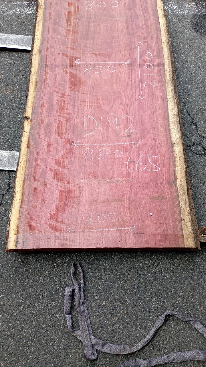 3809D192