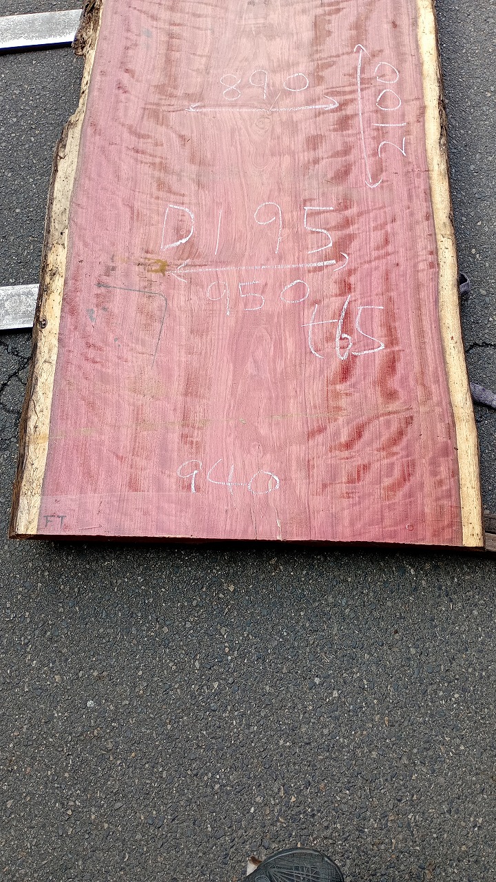 3809D195
