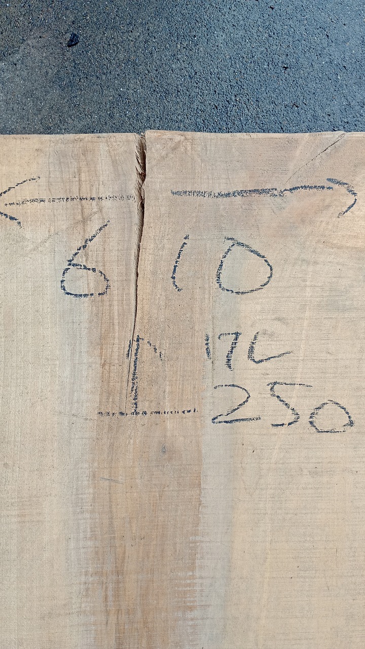 3809D312