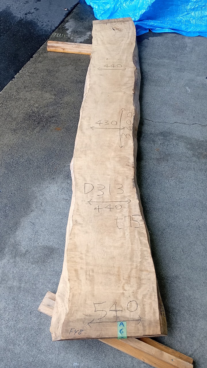 3809D313