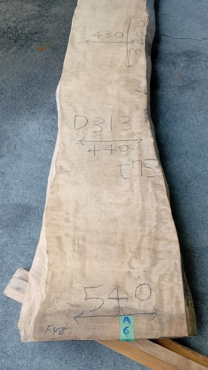 3809D313