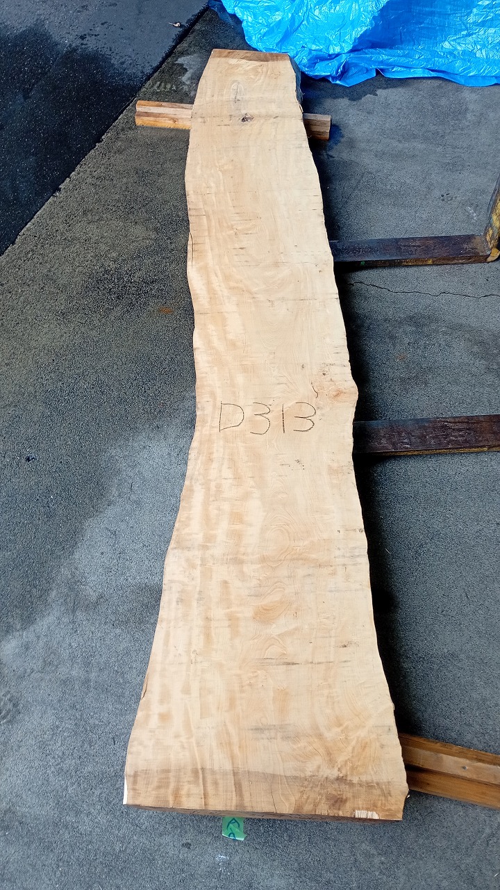 3809D313