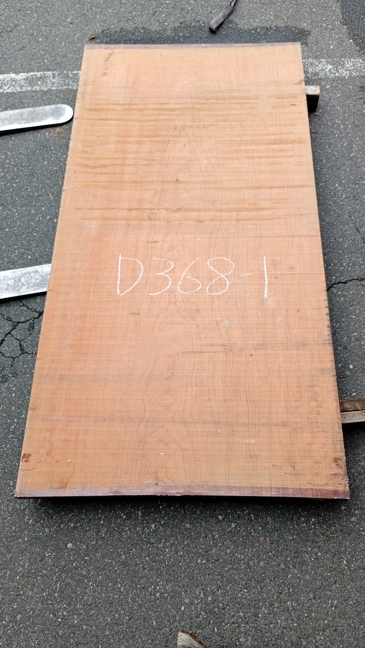 3809D368-1