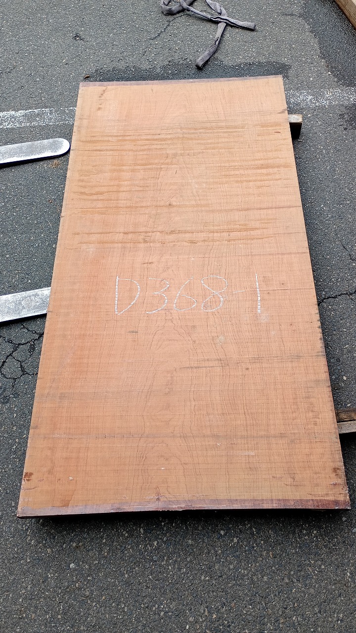 3809D368-1