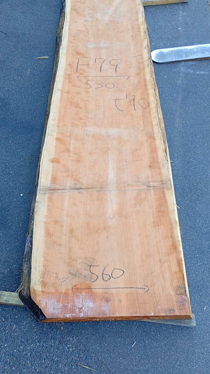 3809F79
