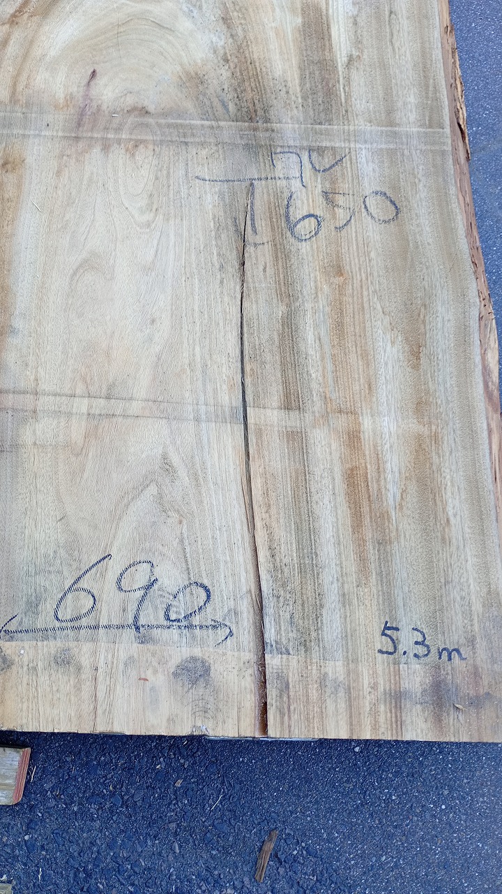 3809F81