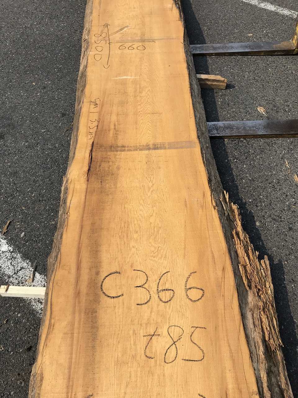 YC3706C366