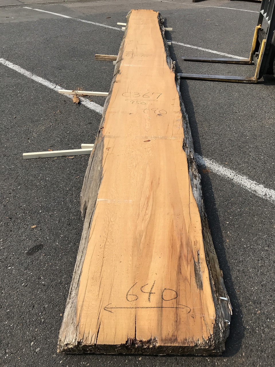 YC3706C367