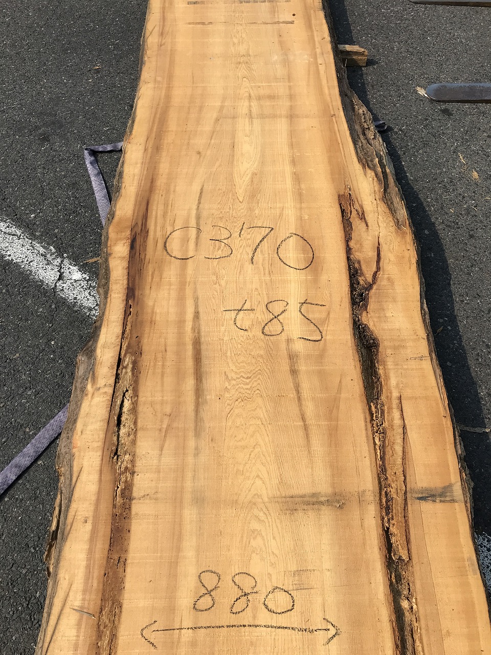 YC3706C370